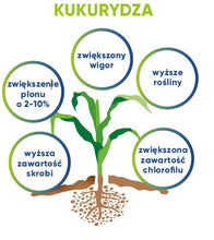 Załaduj obraz do przeglądarki galerii, Utrisha N - Efektywność wykorzystania składników odżywczych