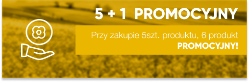 5_1_status