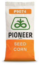 Załaduj obraz do przeglądarki galerii, Kukurydza P9074 - Uniwersalny mieszaniec