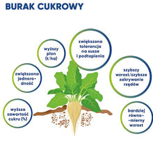 Załaduj obraz do przeglądarki galerii, Kinsidro™Grow - Podkręć metabolizm roślin