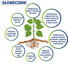Załaduj obraz do przeglądarki galerii, Kinsidro™Grow + - Podkręć metabolizm roślin