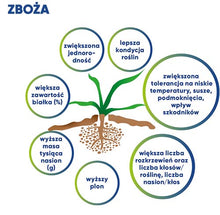 Załaduj obraz do przeglądarki galerii, Kinsidro™Grow + - Podkręć metabolizm roślin