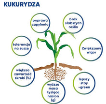 Załaduj obraz do przeglądarki galerii, Kinsidro™Grow - Podkręć metabolizm roślin