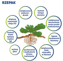 Załaduj obraz do przeglądarki galerii, Kinsidro™Grow + - Podkręć metabolizm roślin