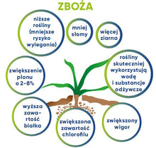 Załaduj obraz do przeglądarki galerii, Utrisha N - Efektywność wykorzystania składników odżywczych
