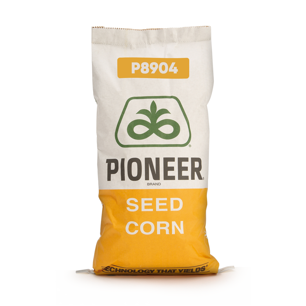 Kukurydza P8904 - Wysokie plony kiszonki doskonałej jakości o wysokiej zawartości skrobi